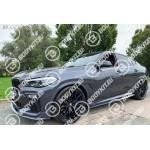 BMW X6 G06 PERFORMANCE 2019-2024